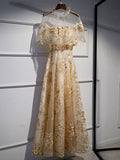 Champagne tulle lace long prom dress champagne formal dress HZ1024