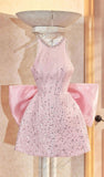 Cute A Line Scoop Short Pink Homecoming Dress Birthday Outfit HZ1024