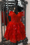 Tulle Sequin A-Line Homecoming dress with Sheer Corset Bodice and Ruffle Skirt HZ1024