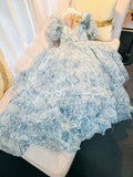 Elegant Princess Sweetheart Short Sleeves Blue Flora Prom Dress Evening Dresses HZ1024