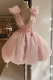 Cute Ball Gown V Neckline Light Pink Organza Homecoming Dress Short Birthday Outfit HZ1024