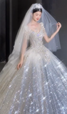 Shiny Ball Gown Tulle Sequin Beaded Short Sleeves With Veil Long Wedding Dresses HZ1024