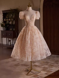 Elegant Ball Gown High Neckline Pink Tulle Party Dress Lace Homecoming Dresses HZ1024