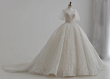 Classy Ball Gown V Neck Tulle Sequin Short Sleeves Long Wedding Dresses HZ1024