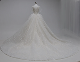 Classy Ball Gown V Neck Tulle Sequin Short Sleeves Long Wedding Dresses HZ1024