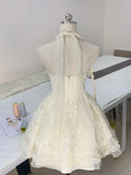 Cute A Line Halter Tulle Lace Short Homecoming Dress 18th Birthday Outfits HZ1024
