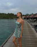 Shiny A Line Strapless Sequin Short Homecoming Dress 21th Birthday Outfits HZ1024