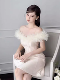 Simple A-Line Off The Shoulder Tulle Short Birthday Outfits Homecoming Dress HZ1024