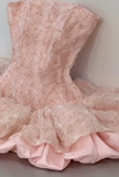 Pink Ball Gown Strapless Satin Lace Short Homecoming Dress 17th Birthday Outfits HZ1024