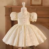 Pretty Ball Gown High Neck Satin With Short Bubble Sleeves Flower Girl Dress HZ1024