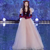 Simple A line Short Sleeves Tulle Long Prom Dress HZ1024