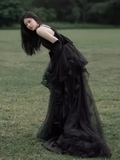 Vintage A line Straps Black Tulle Velvet Long Prom Dress HZ1024